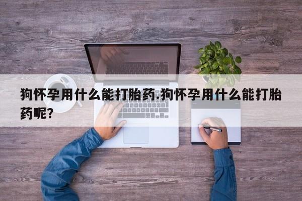 买流产药打胎药保密发货狗怀孕用什么能打胎药.狗怀孕用什么能打胎药呢？