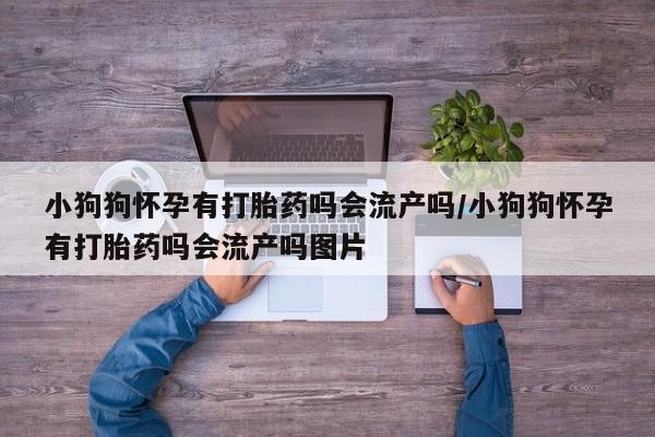 买流产药打胎药保密发货小狗狗怀孕有打胎药吗会流产吗/小狗狗怀孕有打胎药吗会流产吗图片