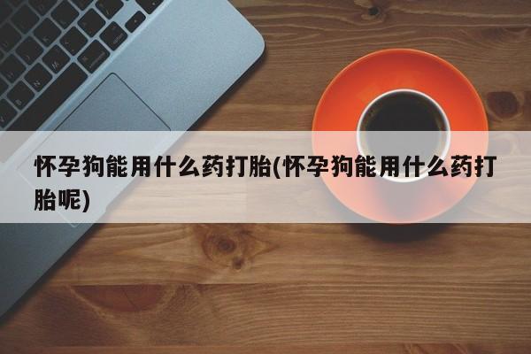 买流产药打胎药保密发货怀孕狗能用什么药打胎(怀孕狗能用什么药打胎呢)