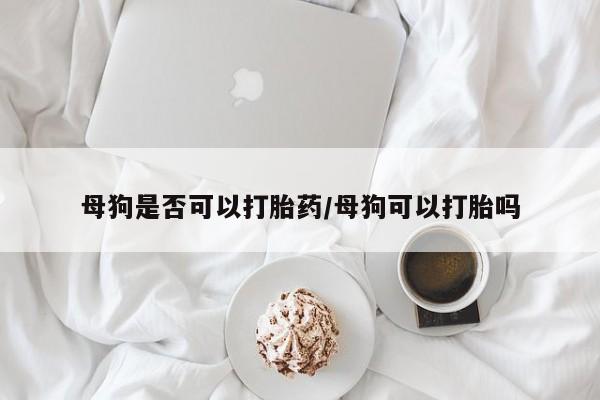 买流产药打胎药保密发货母狗是否可以打胎药/母狗可以打胎吗